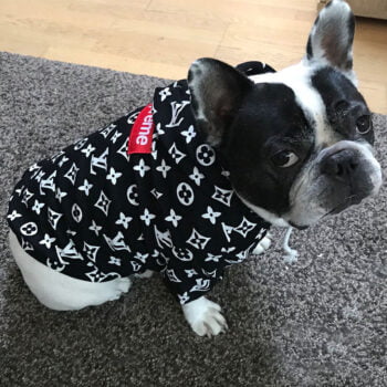Dog Hoodies Louis Pawtton - 2025 - Puppy Streetwear Shop