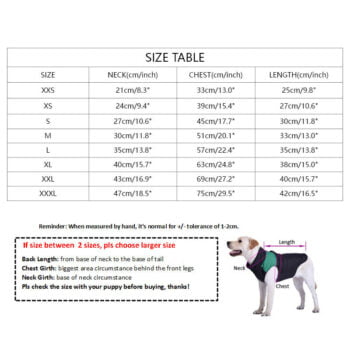 Dog Sweatshirt Kenzo - 2025 - Puppy Streetwear Shop