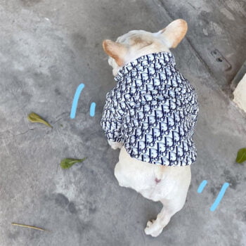 Dog Jacket Dior - 2025 - Puppy Streetwear Shop