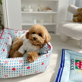 Dog Bed Pawcci - 2025 - Puppy Streetwear Shop Dog Bed Pawcci - 2025 - Puppy Streetwear Shop