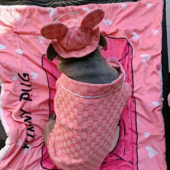 Dog Jacket Pawcci - 2025 - Puppy Streetwear Shop