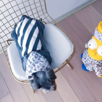 Dog Jacket - 2025 - Puppy Streetwear Shop