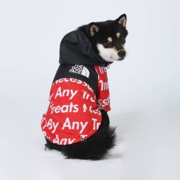 Dog Jacket The Dog Face - 2025 - Puppy Streetwear Shop Dog Jacket The Dog Face - 2025 - Puppy Streetwear Shop