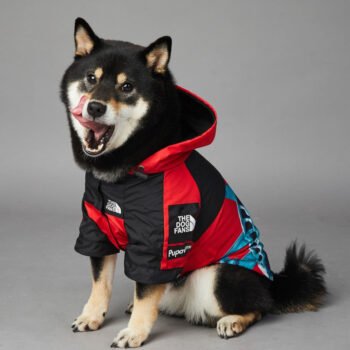 Dog Hoodies The North Face - 2025 - Puppy Streetwear Shop