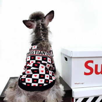 Dog Sweater Dior - 2026 - Puppy Streetwear Shop