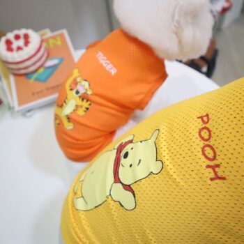 Dog Vest Tigrou - 2025 - Puppy Streetwear Shop