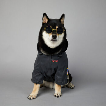 Dog Jacket Nasa - 2025 - Puppy Streetwear Shop