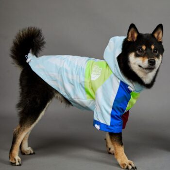 Dog Hoodies The North Face - 2025 - Puppy Streetwear Shop