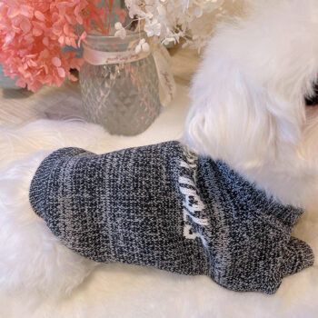 Dog Sweater Essentials - 2025 - Puppy Streetwear Shop