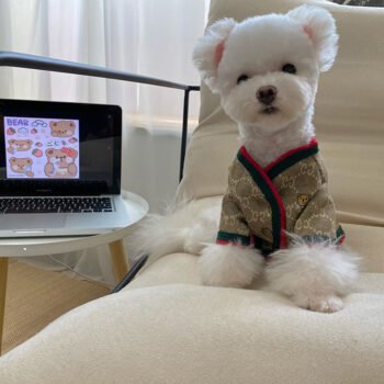 Dog Sweater Pawcci - 2025 - Puppy Streetwear Shop