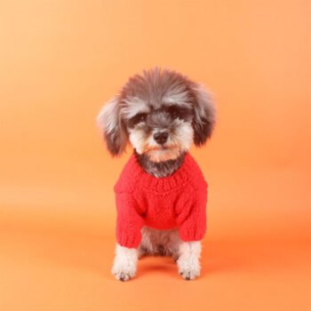 Dog Sweater Chanel - 2025 - Puppy Streetwear Shop