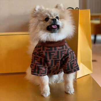 Dog Tshirt Fendi - 2025 - Puppy Streetwear Shop