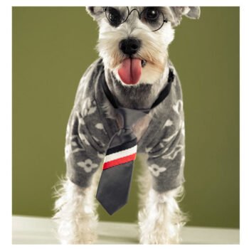 Dog Sweater Louis Pawtton - 2026 - Puppy Streetwear Shop