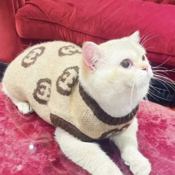 Dog Sweater Pawcci - 2025 - Puppy Streetwear Shop Dog Sweater Pawcci - 2025 - Puppy Streetwear Shop