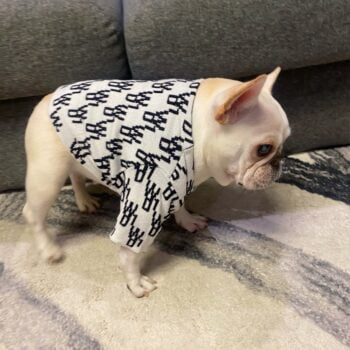 Dog Sweater - 2025 - Puppy Streetwear Shop Dog Sweater - 2025 - Puppy Streetwear Shop