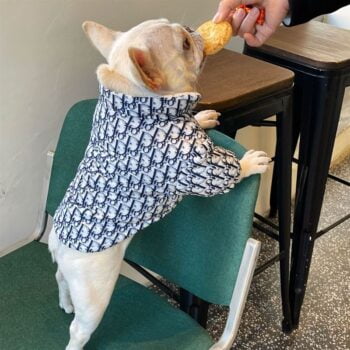 Dog Jacket Dior - 2025 - Puppy Streetwear Shop