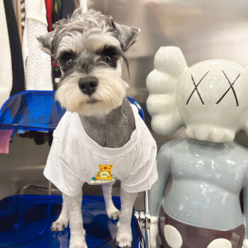 Dog Tshirt Pawcci - 2025 - Puppy Streetwear Shop