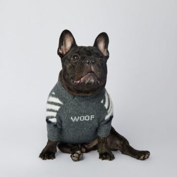 Dog Sweater WOOF - 2026 - Puppy Streetwear Shop