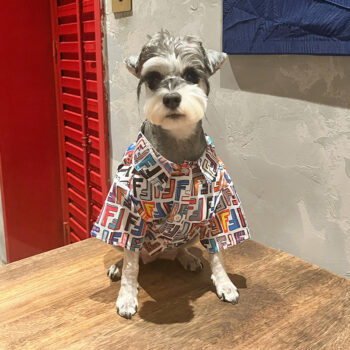 Dog Shirt Fendi - 2025 - Puppy Streetwear Shop