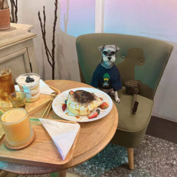 Dog Tshirt Louis Pawtton - 2026 - Puppy Streetwear Shop