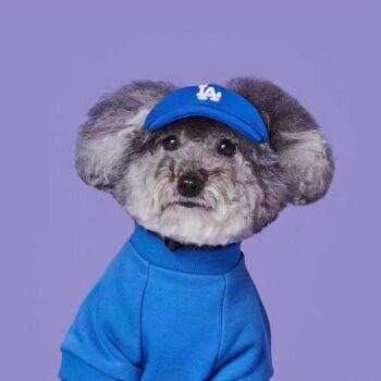 Dog Caps - 2025 - Puppy Streetwear Shop