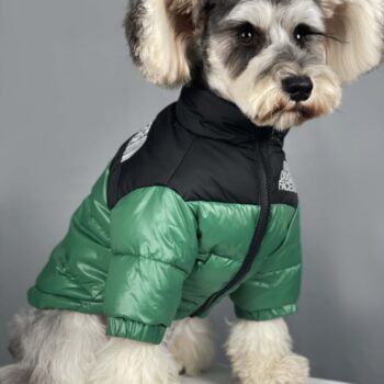 Dog Jacket The Dog Face - 2025 - Puppy Streetwear Shop Dog Jacket The Dog Face - 2025 - Puppy Streetwear Shop
