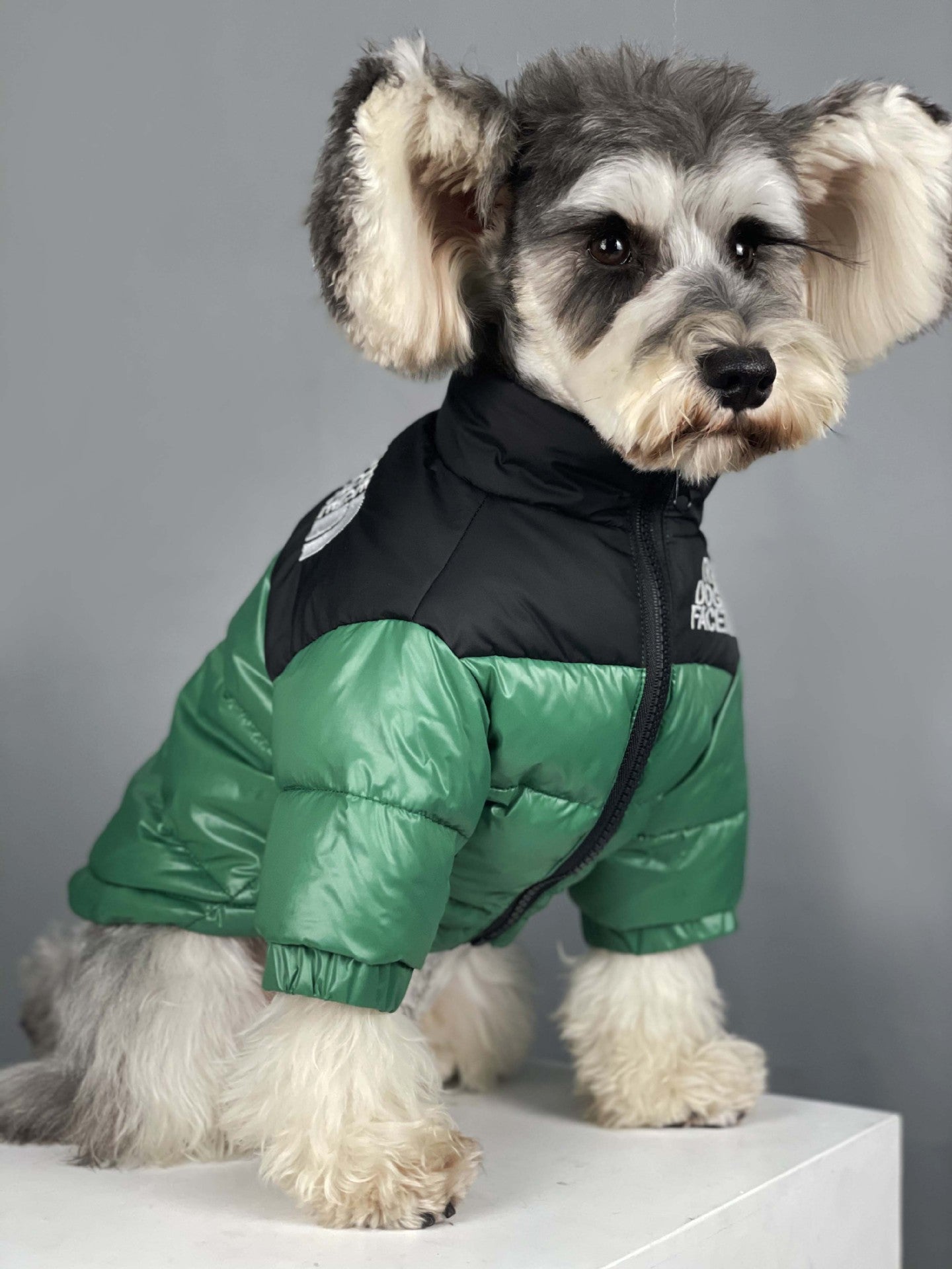 Dog Jacket The North Face - 2024 - Puppy Streetwear Shop