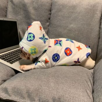 Dog Hoodies Louis Pawtton - 2025 - Puppy Streetwear Shop