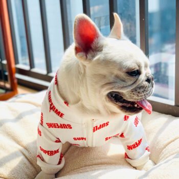 Dog Jacket Supreme - 2025 - Puppy Streetwear Shop