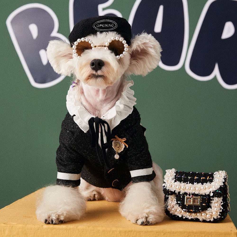 Dog Beret Opening - 2025 - Puppy Streetwear Shop