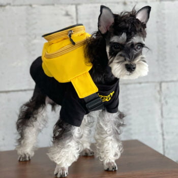 Dog Tshirt - 2025 - Puppy Streetwear Shop