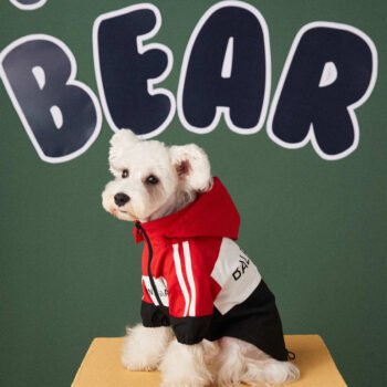 Dog Jacket Balenciaga - 2025 - Puppy Streetwear Shop Dog Jacket Balenciaga - 2025 - Puppy Streetwear Shop