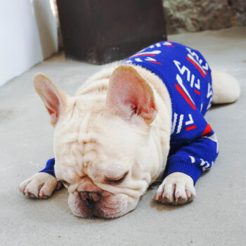 Dog Sweater Fila - 2026 - Puppy Streetwear Shop