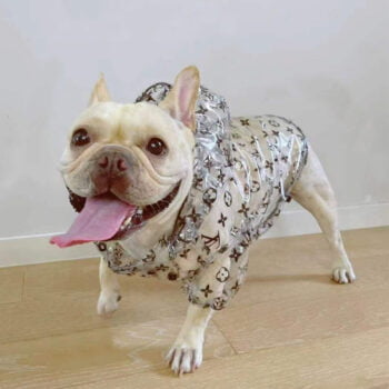 Dog Hoodies Louis Pawtton - 2025 - Puppy Streetwear Shop