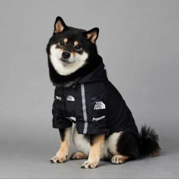 Dog Hoodies The North Face - 2025 - Puppy Streetwear Shop