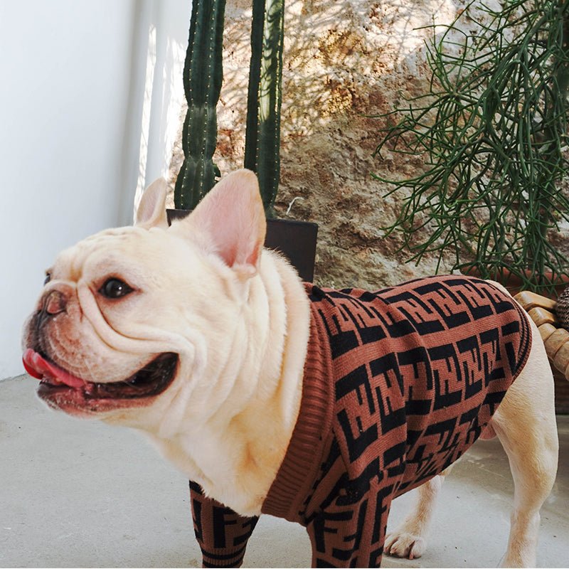 Designer Dog Sweater Fendi - 2023 - Puppy Streetwear Shop