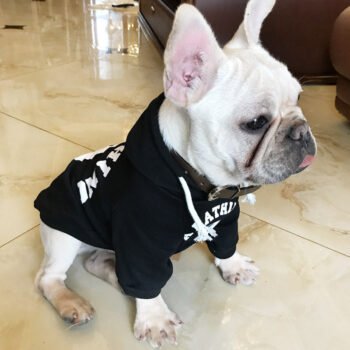 Dog Hoodie Bape - 2025 - Puppy Streetwear Shop