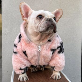 Dog Jacket Celine - 2025 - Puppy Streetwear Shop