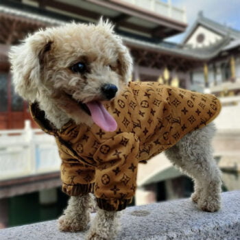 Dog Jacket Louis Pawtton - 2025 - Puppy Streetwear Shop
