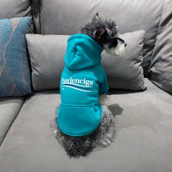 Dog Hoodies Balenciaga - 2026 - Puppy Streetwear Shop