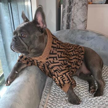 Dog Sweater Fendi - 2025 - Puppy Streetwear Shop Dog Sweater Fendi - 2025 - Puppy Streetwear Shop