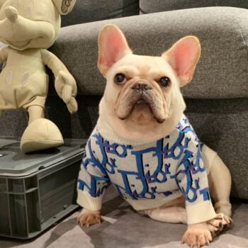 Dog Sweater Dior - 2025 - Puppy Streetwear Shop