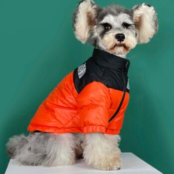 Dog Jacket The Dog Face - 2025 - Puppy Streetwear Shop Dog Jacket The Dog Face - 2025 - Puppy Streetwear Shop