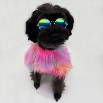 Fur Colorful Dog Jacket - 2025 - Puppy Streetwear Shop