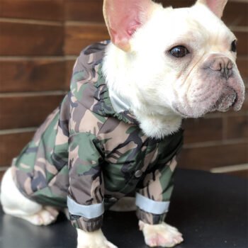 Dog Jacket Bape - 2025 - Puppy Streetwear Shop