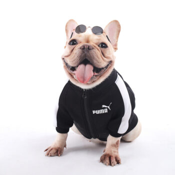 Dog Jacket Puma - 2025 - Puppy Streetwear Shop