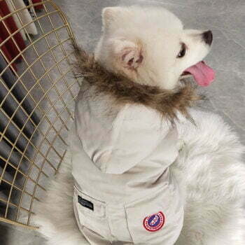 Canada Goose-Inspired Dog Jacket - 2026 - Puppy Streetwear Shop