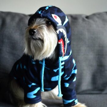 Dog Hoodies Bape - 2025 - Puppy Streetwear Shop