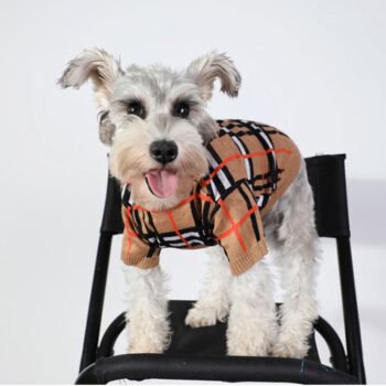 Dog Sweater Burberry - 2025 - Puppy Streetwear Shop