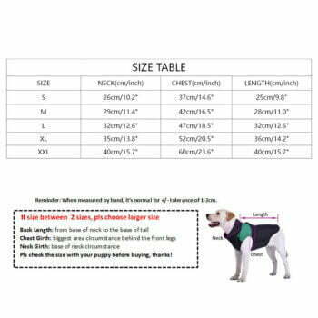 Designer-Inspired Dog Sweatshirt | The North Face Style - 2025 - Puppy Streetwear Shop